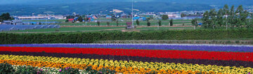 画像1.jpg