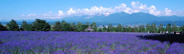 画像4.jpg